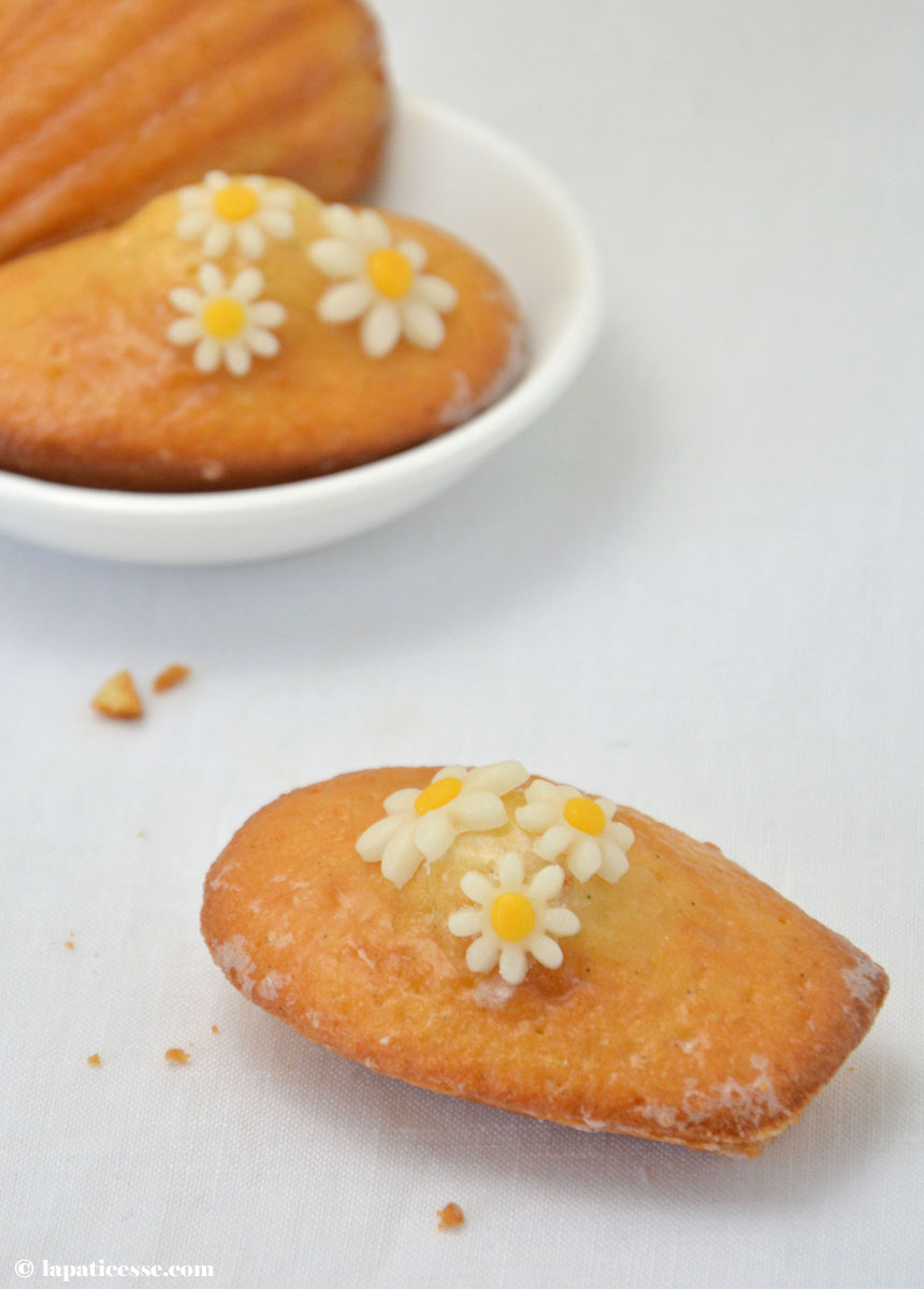 Madeleines Mit Rosenwasser Madeleines A La Rose La Paticesse Der Patisserie Blog